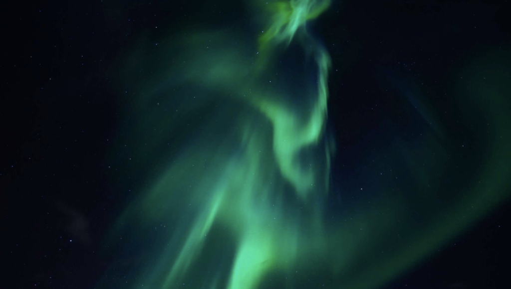 Meet our Founder and Director